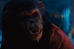 Ya hemos visto 'Primate' y el director del reinicio fallido de Resident Evil firma un terror perfecto con gore y un mono asesino