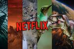 Es cientficamente correcta la nueva serie de dinosaurios de Spielberg en Netflix? Los expertos se pronuncian