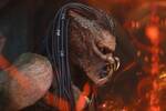 'Predator Badlands' destruye 38 a�os de tradici�n en la saga de ciencia ficci�n y genera dudas en los fans por su violencia