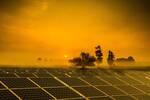 Espa�a abre la v�a para instalar 5150 paneles solares sobre olivares para lograr lo que parece imposible: 'Una iniciativa �nica'
