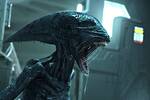 'Crea que todo se acab': Ridley Scott reconoce que fall con 'Prometheus' y admite que hay que tener en cuenta a los fans