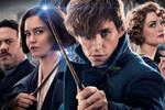 Una de las actrices de Animales fant�sticos confirma que a�n est� contratada para futuras secuelas del spinoff de Harry Potter