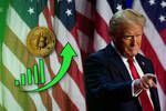 El bitcoin alcanza su rcord histrico gracias a la victoria de Trump como presidente de los EEUU