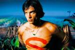 Warner cancela la secuela de 'Smallville' y la prometedora de serie de Superman con Tom Welling no tendr continuacin