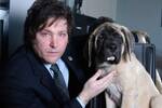 No es ciencia ficci�n, la clonaci�n de perros ya es real y famosos como Javier Milei pagan hasta 50.000 d�lares