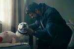 'The Boys' se despide de Bentley, el perro que interpret a la mascota de Carnicero en la serie de Prime Video
