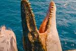 Estos son todos los dinosaurios confirmados de 'Jurassic World Rebirth', desde el temible T.rex al monstruo mutante