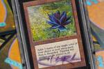 Una nueva Black Lotus firmada puede ser la carta más cara de la historia de Magic y su subasta levanta expectación