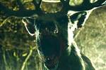 La pel�cula de terror de 'Bambi' convierte al personaje de Disney en un monstruo sanguinario y ya hay tr�iler