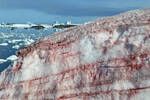 Cientficos alertan del peligro la 'sangre de glaciar', un fenmeno que se va extendiendo y es un peligro para el medio ambiente