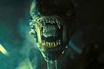 'Alien: Romulus' hace un guio a los fans del terror en su nuevo vdeo y su director rechaza la peor tendencia de Hollywood