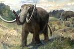 Un coloso del pasado emerge en EE.UU.: hallan el fsil de un mastodonte intacto de 13.600 aos de antigedad