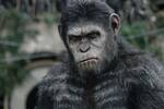 Los expertos coinciden: estalla la gran guerra entre chimpanc�s de Uganda y provoca el evento m�s violento de la especie
