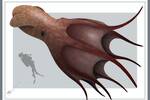 Cient�ficos at�nitos encuentran un pulpo gigante de 18 metros de largo que domin� los mares hace m�s de 70 millones de a�os