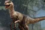 'Ms grande que en Jurassic Park': Paleontlogos descubren las huellas de un velociraptor que meda 5m de alto