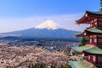 Japn est construyendo una pantalla gigante para tapar la vista del monte Fuji por culpa del turismo