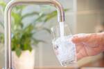 Si bebes agua del grifo ten cuidado: los expertos recomiendan cumplir la regla de las cuatro horas