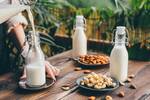 Espa�a marca las normas: las bebidas vegetales arrasan en cafeter�as y restaurantes, creciendo un 20 % en 2025