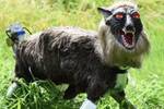 Jap�n desaf�a las normas: crea estos terror�ficos 'lobos robots' para luchar contra los ataques de oso a lo largo de 2026