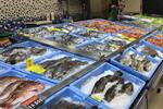 El municipio espa�ol que envasa pescado para Mercadona: una planta de 55.000 metros cuadrados detr�s de Hacendado