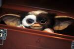 El montaje perdido de 'Gremlins' existe: dura m�s de dos horas y media y acaba de proyectarse en secreto