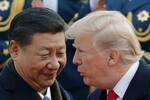 China cambia las normas: desaf�a a Estados Unidos y reforma su exportaci�n masiva de energ�a pese a las amenazas de Trump