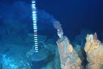 Cientficos realizan un increble descubrimiento biolgico a 2.500 metros de profundidad bajo el mar
