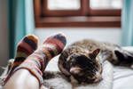 La ciencia explica por qu dormir con los calcetines puestos puede ser perjudicial para la salud
