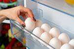 La ciencia lo confirma: guardar los huevos en la nevera tiene grandes riesgos si no se tienen en cuenta estos consejos