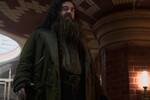 Nick Frost, actor: 'He intentado honrar al Hagrid de las pel�culas de Harry Potter, pero mi versi�n ser� diferente'