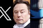 Twitter se transforma en 'X': Todas las novedades sobre la nueva red social de Elon Musk