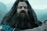 La serie de 'Harry Potter' en HBO Max desvela al nuevo Hagrid y los fans piden que se cancele la serie ya: 'Parece una parodia'