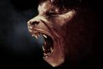 'Werwulf' promete reinventar al hombre lobo en el cine con su versi�n m�s perturbadora: ya conocemos a sus protagonistas