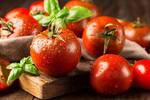 Jos� Miguel Mulet, bi�logo: 'Los tomates no es que 'no sepan a nada', el problema es que hay que alimentar a mucha gente'