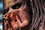 Todas las pel�culas de la saga Predator (Depredador)
