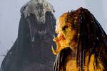 Prey: Estas son las diferencias principales del nuevo Predator frente al cl�sico