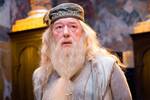 Un oscarizado actor de la saga 'Harry Potter' se ofrece como nuevo Dumbledore en la serie de Max y encaja perfectamente