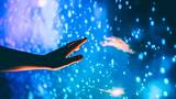 Los cient�ficos lo confirman: existe un sexto sentido en los seres humanos que la ciencia no puede explicar