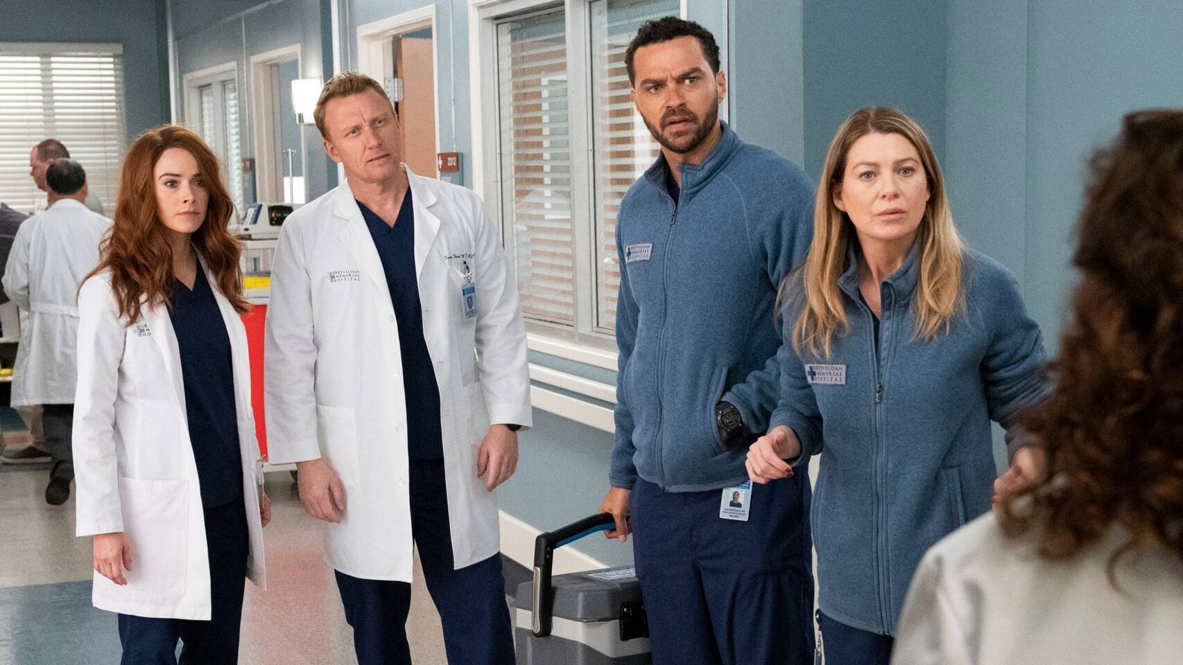 Anatomía De Grey Temporada 17 Episodio 15