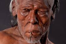 El origen del ser humano en Marruecos: f�siles de hom�nidos de 773.000 a�os de antig�edad revolucionan la arqueolog�a mundial