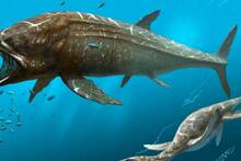 El pez �seo m�s grande de la historia: 16 metros de largo y 45 toneladas, domin� el Jur�sico y desapareci� al cambiar el oc�ano