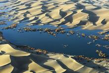 China libera millones de peces en el desierto m�s hostil de Asia, convierte arena en mares gigantes y crea un oc�ano artificial