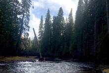 EE.UU. inicia una operaci�n sin precedentes para reconstruir sus r�os: una lluvia de m�s de 6.000 troncos con helic�pteros