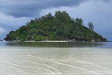 Un brit�nico compra una isla 'muerta' y la revive con m�s de 16.000 �rboles para convertirlo en un para�so vetado para los ricos