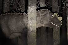 La ciencia lo confirma: el Tiranosaurio rex ten�a un letal dinosaurio rival hace 67 millones de a�os pero casi nadie lo conoce