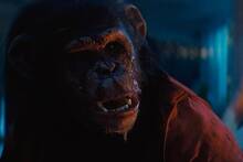 Ya hemos visto 'Primate' y el director del reinicio fallido de Resident Evil firma un terror perfecto con gore y un mono asesino