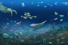 Científicos chinos confirman la resurrección de la vida tras la primera gran extinción en la Tierra hace 513 millones de años