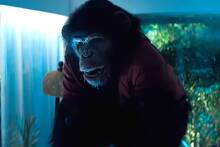 La pel�cula del simio asesino que cambia el terror en 2026: el director del reinicio de 'Resident Evil' conquista a la cr�tica