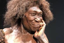 Un hallazgo en Marruecos de hace 773.000 a�os, tan antiguo como Atapuerca, reabre el debate sobre los or�genes de los europeos