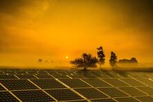 España abre la vía para instalar 5150 paneles solares sobre olivares para lograr lo que parece imposible: 'Una iniciativa única'